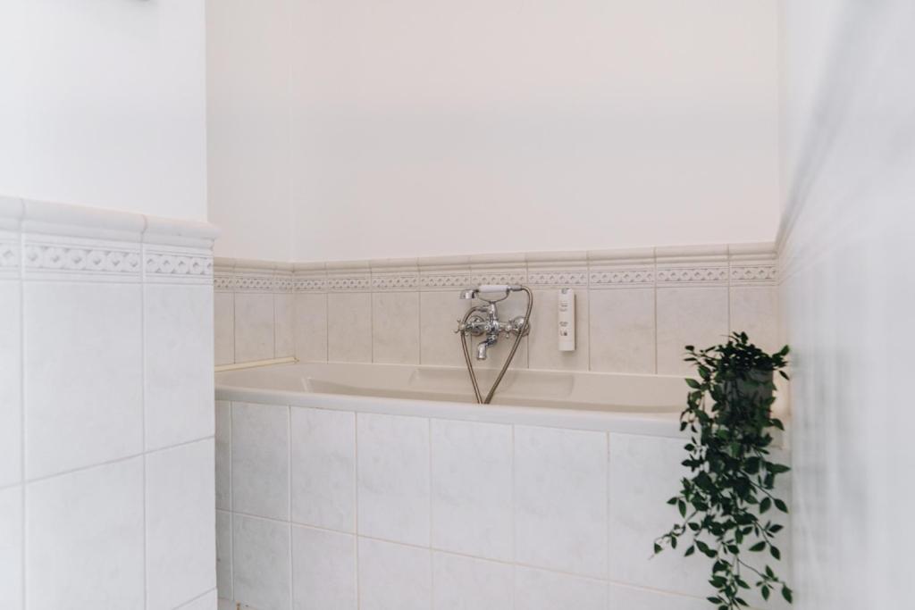 Dream Stay - Art Gallery Family Apartment With 2 Bathrooms 탈린 외부 사진